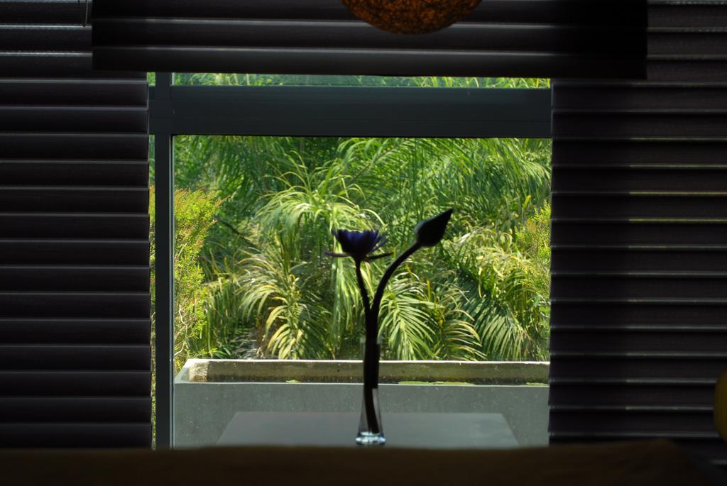 קנדי Hotel Topaz מראה חיצוני תמונה